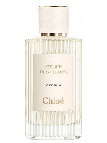 U - Chloé Cedrus (парфюм)